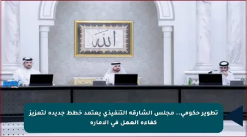 تطوير حكومي.. مجلس الشارقة التنفيذي يعتمد خطط جديدة لتعزيز كفاءة العمل في الإمارة